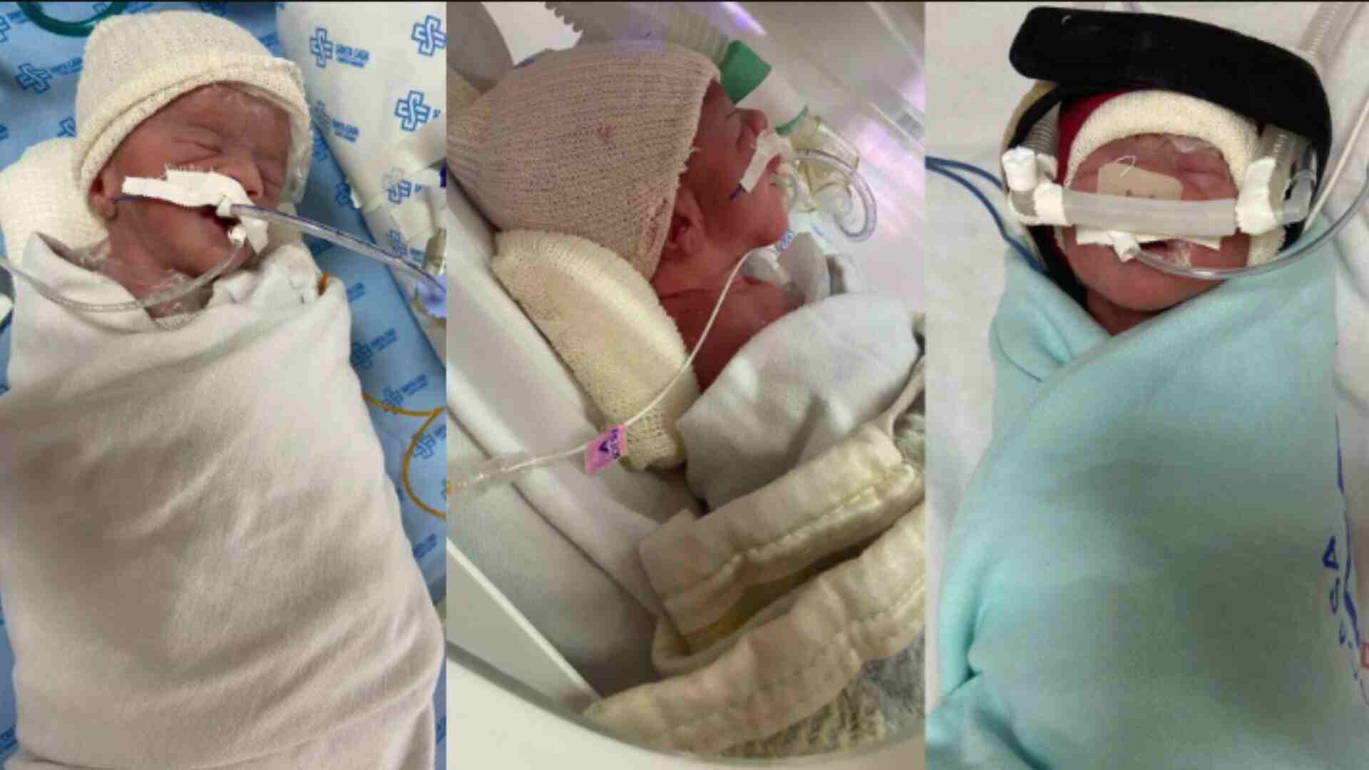 Gabriel, Maitê e Eloá