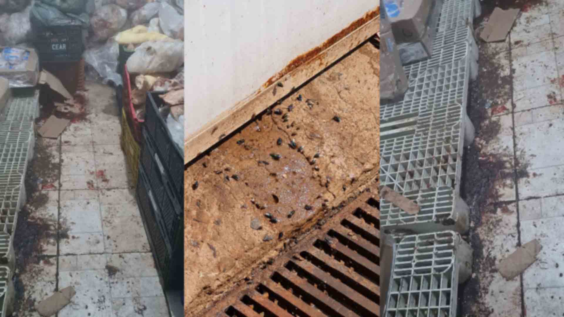 Polícia apreendeu mais de seis toneladas de carne podre em mercado Polícia apreendeu mais de seis toneladas de carne podre em mercado