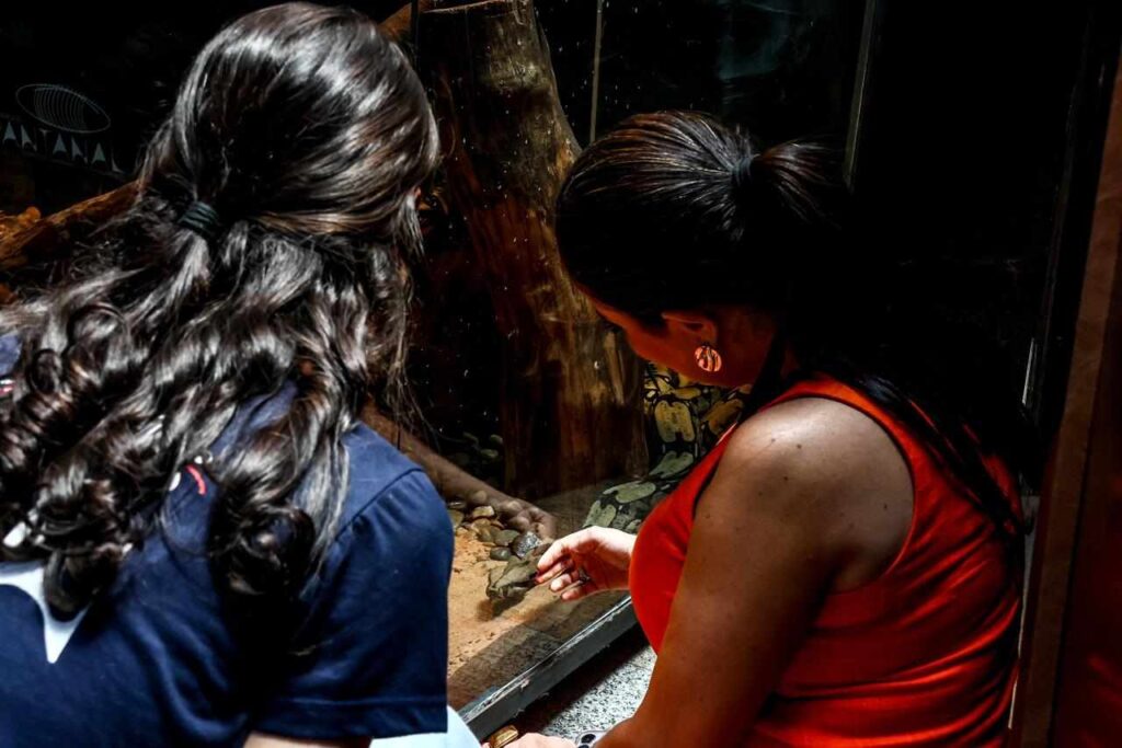 Bióloga Carla e diretora-geral Maria Fernanda observando Rachel - (Foto: Alicce Rodrigues, Jornal Midiamax)