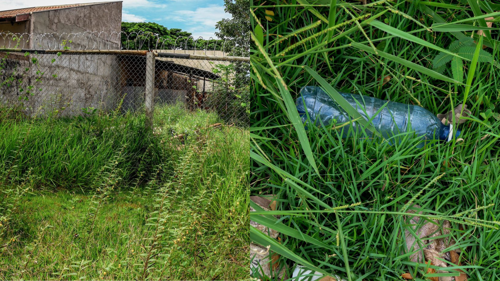 Quando a sujeira vem do vizinho, é possível entrar na Justiça para ordenar limpeza?