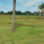 Após 8 anos, confira como deve ficar o Centro de Desenvolvimento de Futebol em Campo Grande