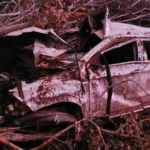 Criança de 3 anos que viajava com ex-vereadora de Alcinópolis morre em acidente na BR-359