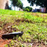 “Ficamos apavorados”, dizem moradores após ocupantes de Hilux efetuarem disparos e passarem por cima de moto