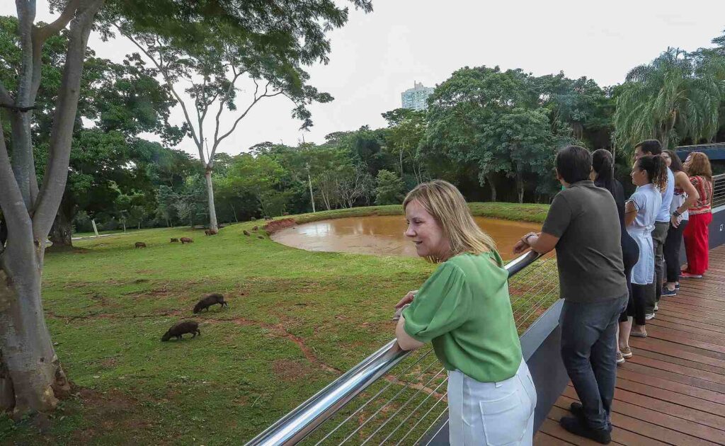 BNDES em visita ao Parque das Nações Indígenas para avaliar concessão - (Foto: Edemir Rodrigues) Bioparque